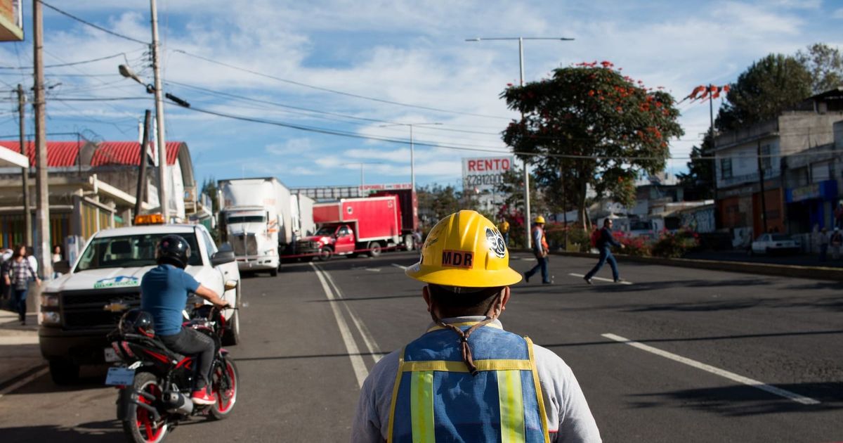 Worker in a reflective vest and hard hat seen from behind on a road